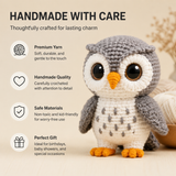 Handmade Owl Crochet Plush | Finished Owl Amigurumi Gift